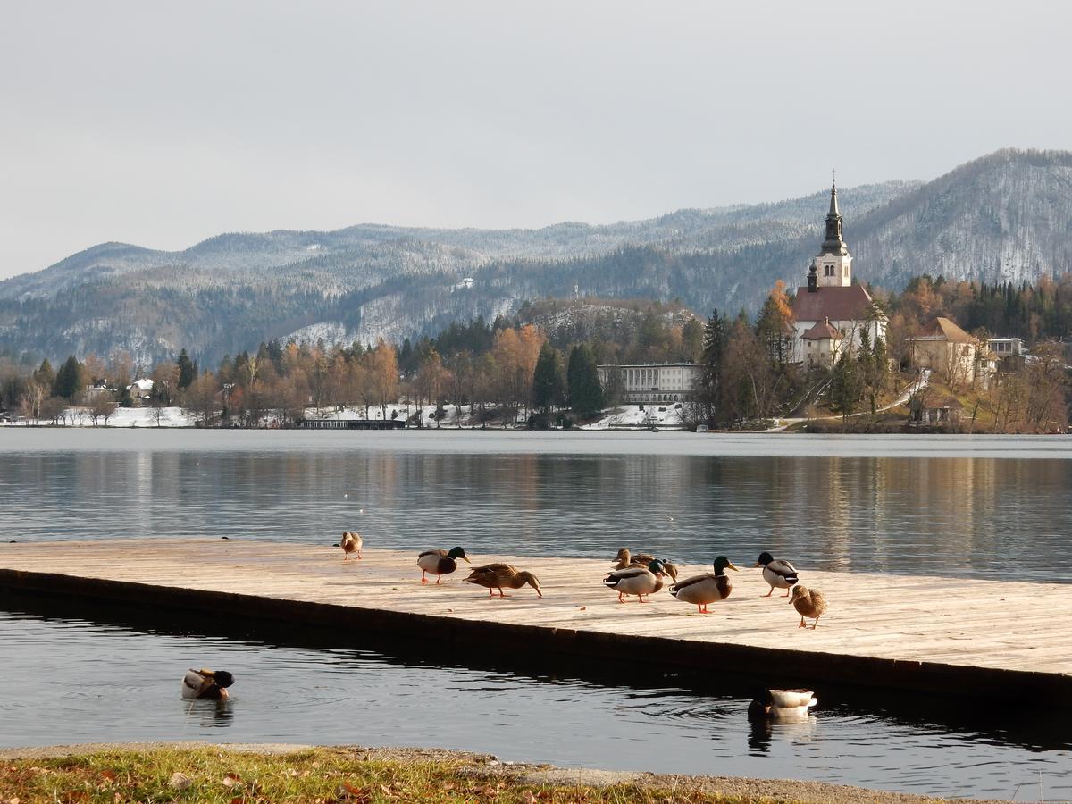 Lake House Sebanc Bled Bagian luar foto